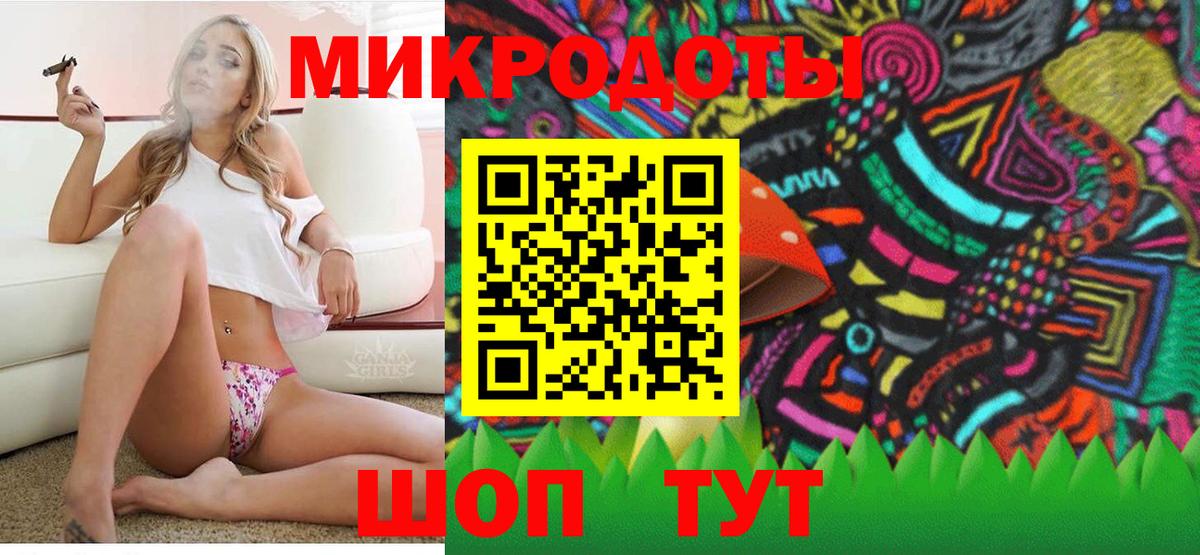 Псилоцибиновые грибы мицелий Кингисепп