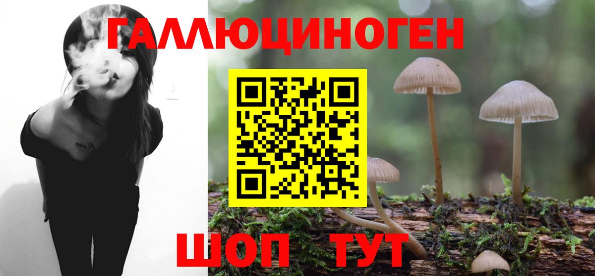 Кингисепп  Псилоцибиновые грибы мухоморы  Псилоцибиновые грибы Magic Shrooms  Вход с VPN 